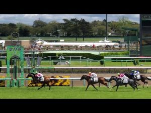 【現地】ベストフィーリング 3歳未勝利