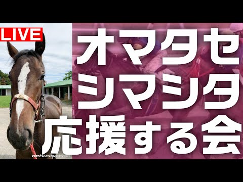 地方競馬 / 皆で観戦！オマタセシマシタ ちゃん 【 門別】地方競馬ライブ ホッカイドウ競馬