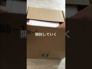 開封音asmr #円盤 #刀ステ #綺伝いくさ世の徒花