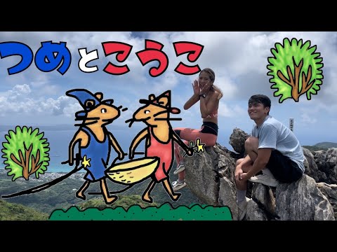 【山登り】山の妖精と沖縄のインスタ映えスポット行ってみた!🐒🤍🌼【沖縄旅行】