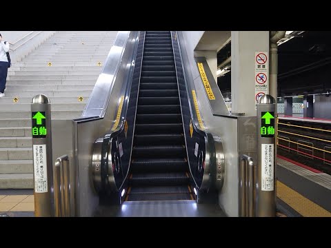 【エスカレーター】京都駅 琵琶湖線 湖西線 2・3番乗り場 のぼり 自動【Escalator】Kyoto Station マニア