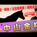 【中山金杯2023】展望考察！新年一発目の重賞！アドマイヤビルゴ、マテンロウレオ、ラーグルフら参戦！【競馬予想】
