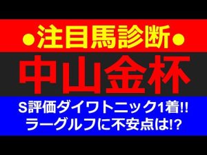 【2023中山金杯】注目馬診断～ラーグルフ、アドマイヤビルゴ、アラタなどに不安な点はないか！？～★Ｓ評価ダイワトニック１着☆