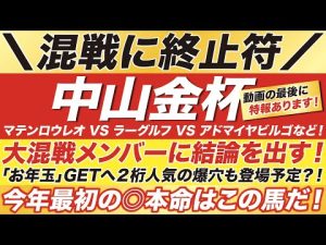 中山金杯 2023【予想】マテンロウレオ VS ラーグルフ VS アドマイヤビルゴなど！大混戦メンバーに結論を出す！今年最初の◎本命はこの馬だ！