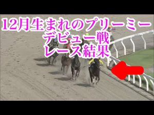 9/13 川崎1R 3歳8 レース結果【プリーミー】