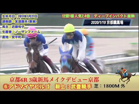 あの馬の新馬戦！2020年1月19日　京都6Rメイクデビュー2歳新馬「アドマイヤビルゴ」鞍上：武豊騎手