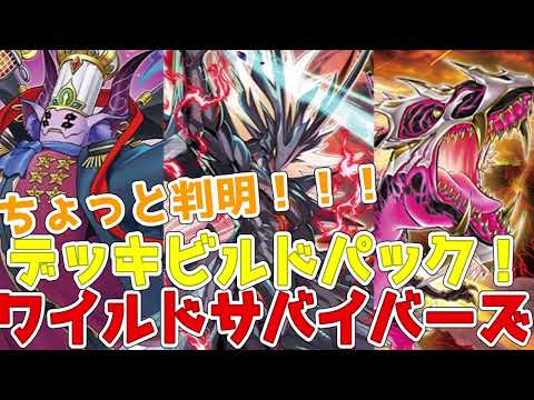 新テーマ紹介！ワイルドサバイバーズ！超越竜、ヴァンキッシュソウル、ヌーベルズ！面白そうなテーマ来たああああ！【遊戯王】