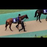 2022/10/30 東京 天皇賞(秋) ジオグリフ