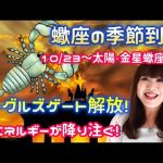 🦂【イーグルズゲート】11/7、11/8、11/11 高次元のエネルギーが降り注ぐ✨イーグルズゲート解放💫蠍座の季節到来！