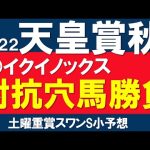 天皇賞秋2022 最終結論 本命ジオグリフ 対抗 穴馬　パンサラッサVSジャックドールの行方　スワンステークスは富久ちゃん理論で突破