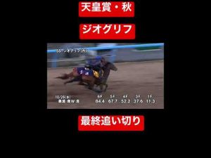 第166回 天皇賞・秋 ジオグリフ 最終追い切り #競馬  #調教