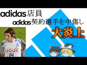 【ゆっくり解説】adidas店員がadidas契約選手とその嫁に対して中傷ツイート　ハーフナー・マイク中傷事件