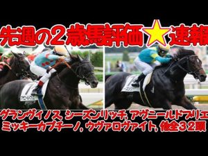 10/8,9,10(土日祝)全２歳馬勝ち上がり評価★★わかりやすい要点解説 #新馬戦 #２歳馬 #ＰＯＧ