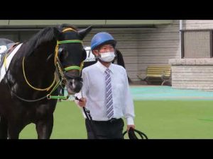 2022年10月09日 東京3R パドック アヴニールドブリエ