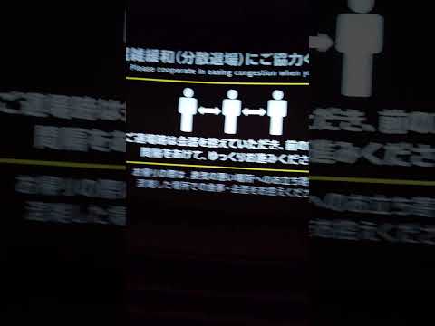 IMAXとドルビーシネマの個人的な比較感想