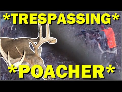 #1 Buck POACHED at 60 Yards | The story of “CUTTER”
