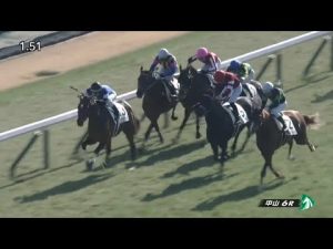 2023/01/07　中山競馬場　6R　モルトヴェローチェ　3歳未勝利