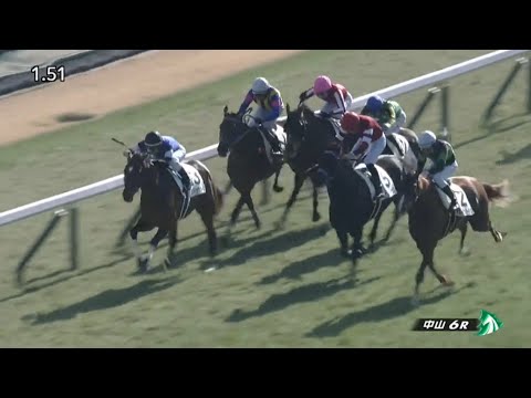 2023/01/07　中山競馬場　6R　モルトヴェローチェ　3歳未勝利