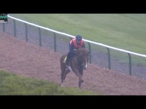 【モルトヴェローチェ】デビューまでの道のり
