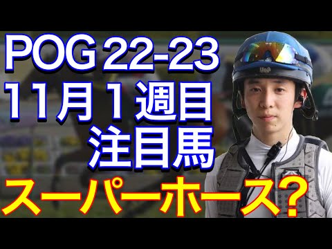【POG/22-23】11月1週目デビューの注目新馬を紹介【スーパーホースと若手騎手との出会い?】