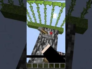 ウォーデンにスピードの再テストをするとどうなるのか検証してみた結果‼　　マイクラ　#shorts