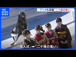 アシカがにっこり祝福　千葉県の鴨川シーワールドで新成人を祝うイベント｜TBS NEWS DIG