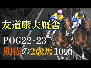 【pog22-23】銀河系軍団！友道康夫厩舎 期待の2歳馬10頭を紹介します！【2歳馬】