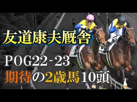 【pog22-23】銀河系軍団!友道康夫厩舎 期待の2歳馬10頭を紹介します!【2歳馬】