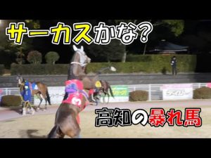 【競馬】立ち上がる高知競馬の馬