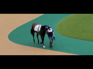 2022/05/21 東京第6R ベストフィーリング