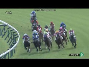 2022年4月16日　中山5R　3歳未勝利　ベストフィーリング