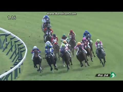 2022年4月16日　中山5R　3歳未勝利　ベストフィーリング