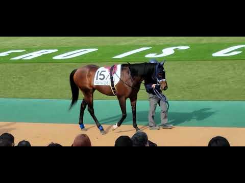 2022/01/29 東京第5R ベストフィーリング