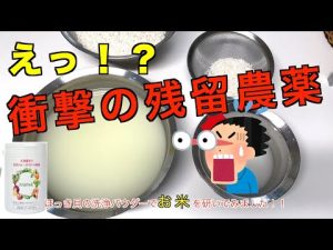 【農薬除去に効果バツグン】お米の洗浄！！ほっき貝の洗浄パウダーWashell