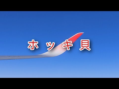 2022/11.27 新千歳空港⇒羽田空港 ホッキ貝で行く