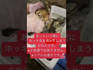 #shorts　ホッキ貝むきおねえさま