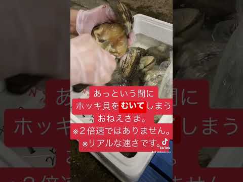 #shorts　ホッキ貝むきおねえさま
