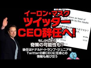 イーロン・マスク氏ツイッターCEO辞任へ！もしかしたら奇策の可能性もあると思う理由