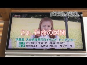 密着ドキュメンタリー「鈴木セリーナのお仕事」　番外編