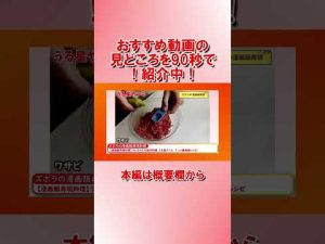 【90秒でわかる！】おすすめライフスタイル動画　ズボラの漫画飯再現料理　2023/01/12