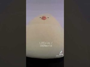 LIFEsize / UVERworld (acapella cover) #歌ってみた #アカペラ #LIFEsize #uverworld