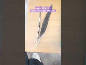 #art #drawing #artist #pencildrawing #feather #porcupine #thron #practice #h2 #artcollector #love