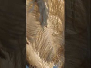 Natural Ostrich Feather Led Chandelier /  Loft Pendant Lamp #shorts