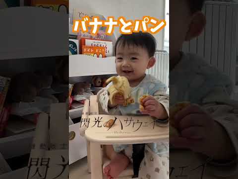 おうちでハイハイレースやってみた！