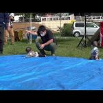 赤ちゃんハイハイレース　@その他イベント