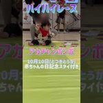 三男ハイハイレースチャレンジ(長女もお手伝い♪)#shorts