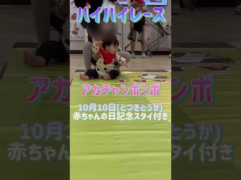 三男ハイハイレースチャレンジ(長女もお手伝い♪)#shorts