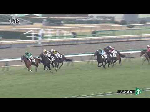 2023/01/14　中山競馬場　5R　ポルカリズム　津村明秀騎手　3歳新馬戦