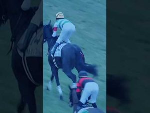 愛馬ポルカリズム新馬勝ち‼️#ポルカリズム #競馬 #新馬戦