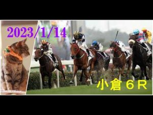 2023/1/14　小倉６レース　枠順確定
